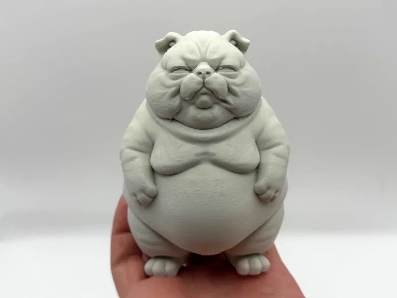 Sir Chunkleton