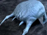 Headcrab from the Half-Life game-0