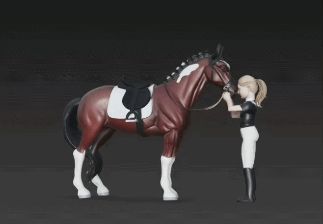 A sport horse with its rider