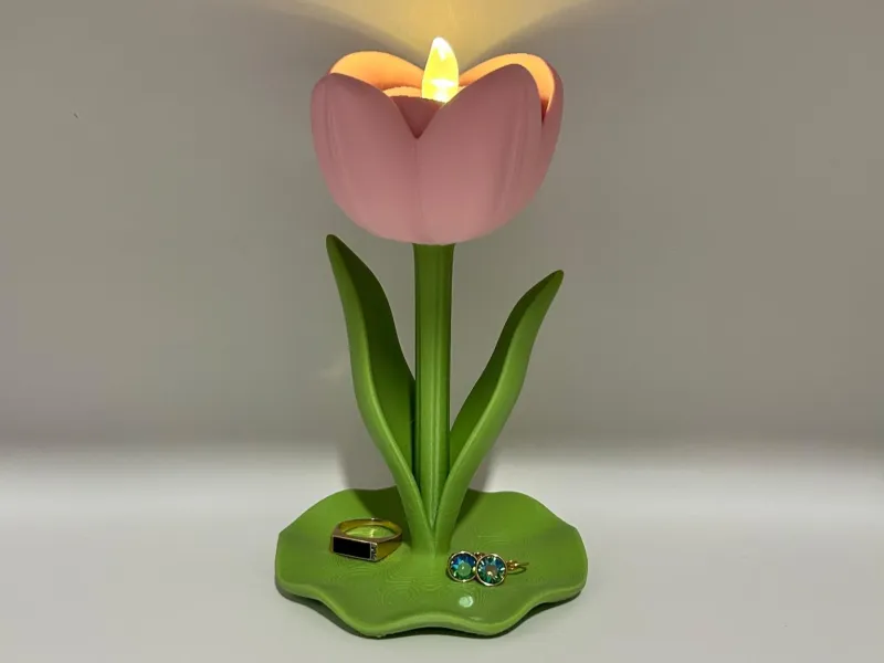 Luminous Tulip