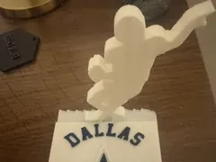 Dallas cowboy coaster