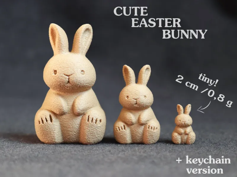 Cute Bunny