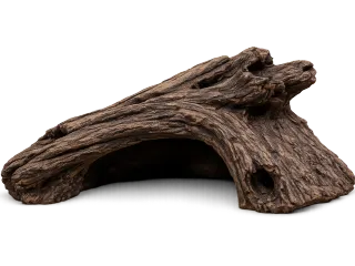 Natural Reptile log
