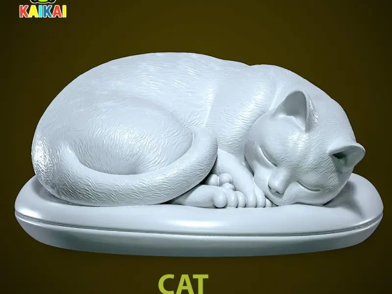 CAT - Sleeping Cat Urban vibes