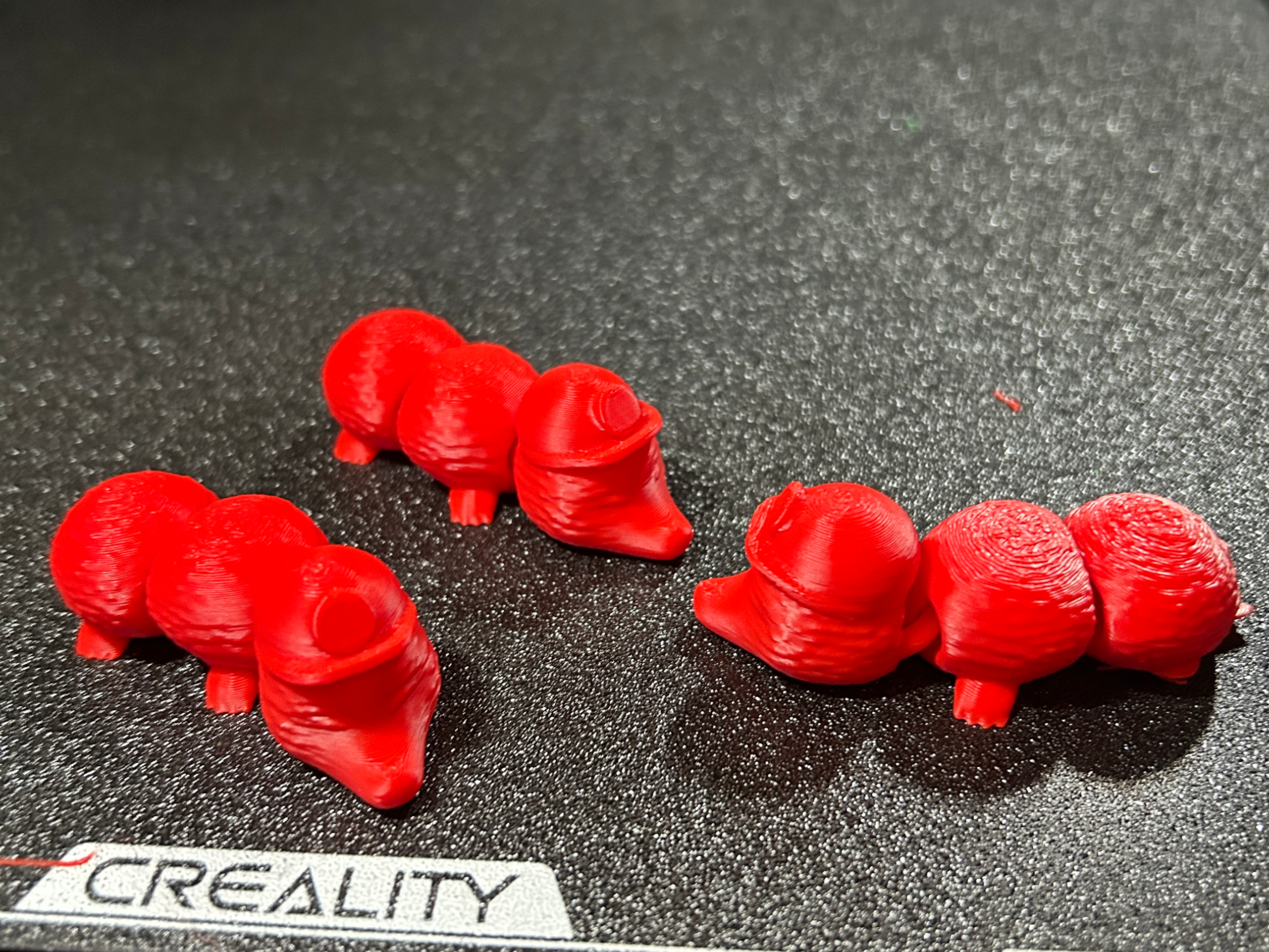 Home print settings: Mole hair.3mf