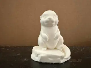 Otter