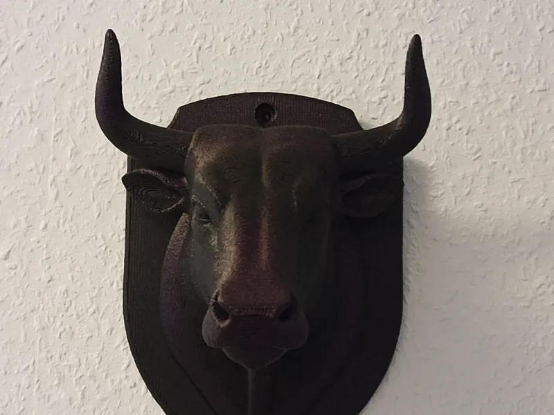Toro