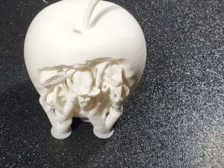 Forbidden Apple Fruit