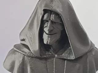 Busto Palptain