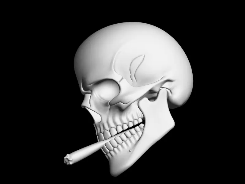 Skull wall decoration