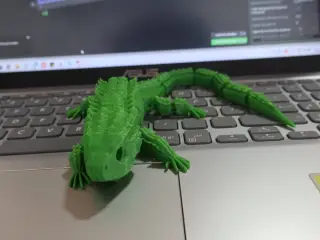 lagarto