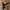 TLM 102 mic holder