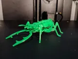ESCARABAJO-0
