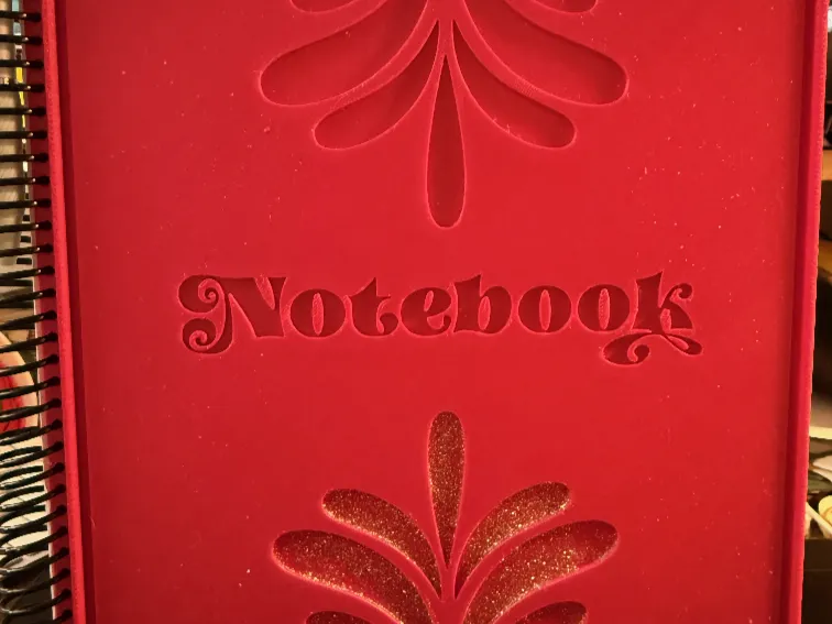 Spiral Notebook cover