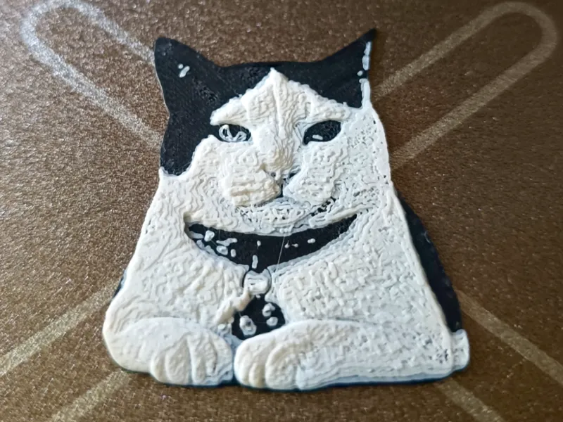 Lienzo Gato