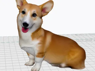 Welsh corgi & korgi bůček