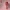 여성 아이언맨 | CFS 및 CFS 미포함