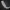 Dragon viking drinking horn 13