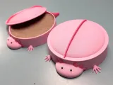 Axolotl Sandbox-0