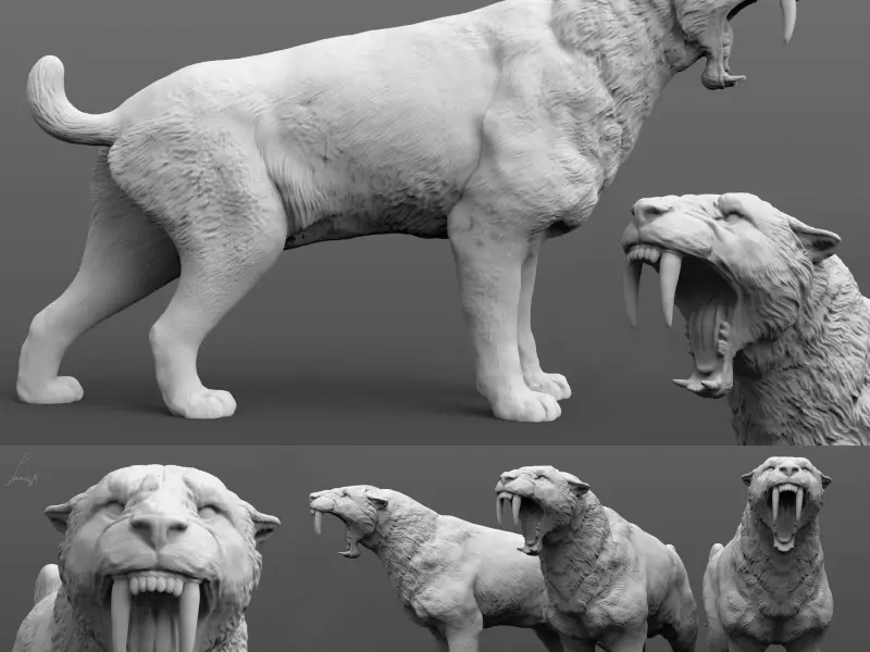 Smilodon populator, Saber-Toothed Tiger (roaring)