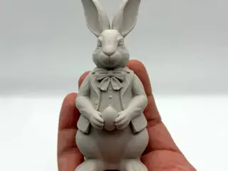 Dressed Easter Bunny