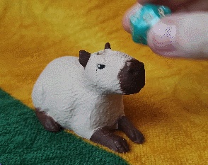 Dobbelsteen Bewaker Capybara