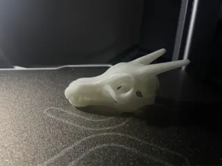 Charizard Skull