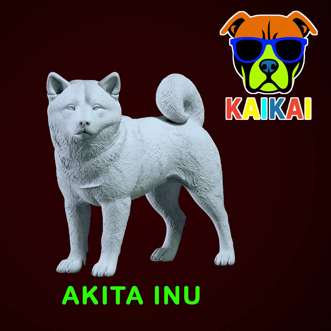 Characters & Creatures STL Download - Akita dog - Japanese giant dog - 3D  printby DesignerDC