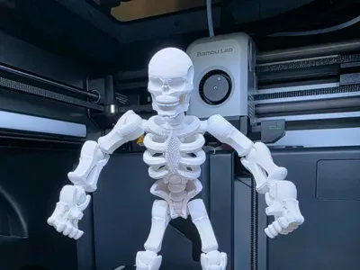 Kaartset Skelet-Tinkercad