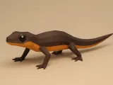 Low poly newt-0