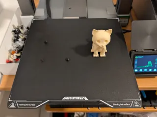 Cute Kitten