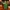 Flower Vase 4