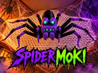 Spider Moki