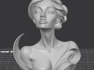 Bust 6