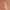 Spiral Christmas Tree with Star – 3D Decoration