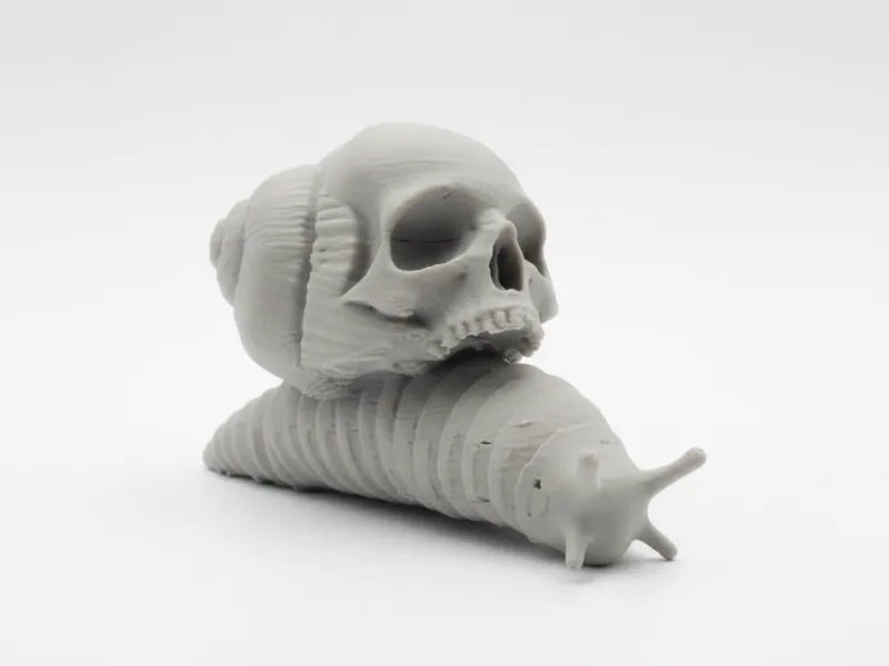 Snail Skull - Caracol Calavera