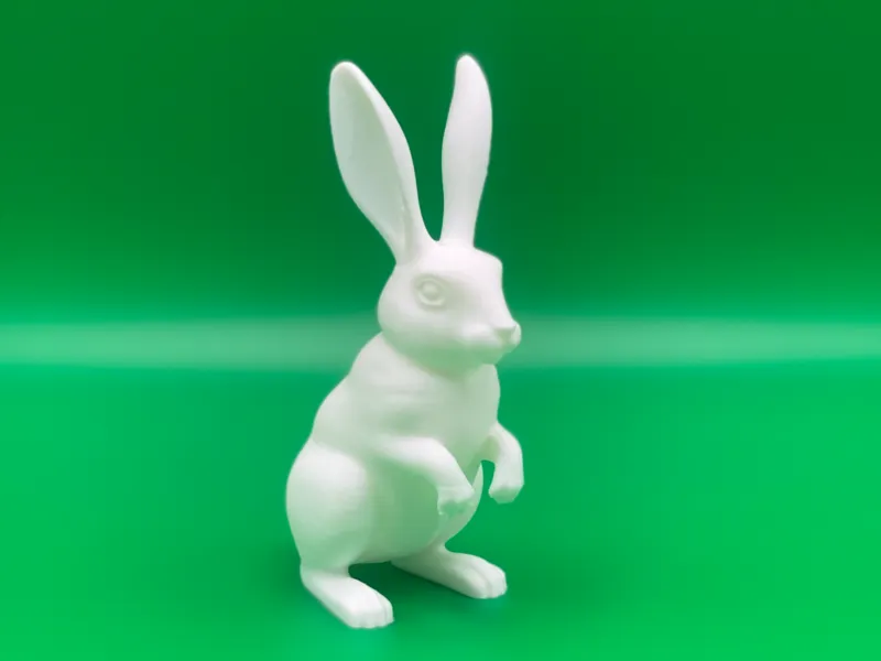 ウサギ