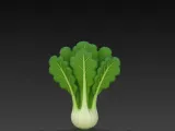 vegetables-0