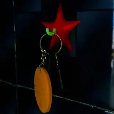 Vacuum Starfish hook-1