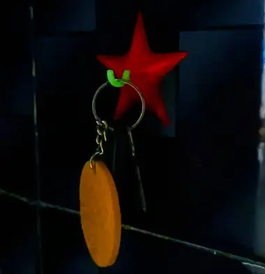 Vacuum Starfish hook-1
