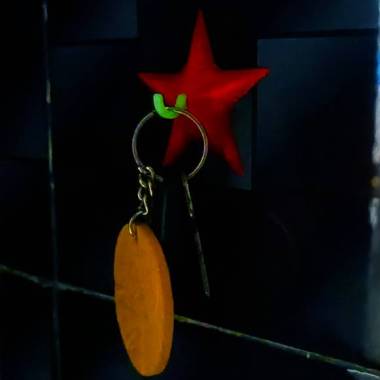 Vacuum Starfish hook-1