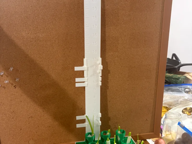 植物生长标尺 | 12或24英寸 + 滑动日期标记