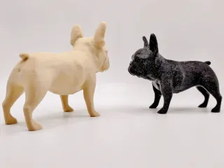 French bulldog