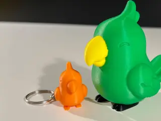 Cute Parrot