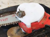 Ceepuy Chainsaw Cap-0
