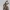 Clash of Clans COC The Hog Rider