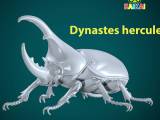 Dynastes hercules model - statue - 3D print-0