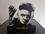 Hawkeye Display-0