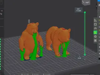 Grizzly bear