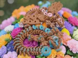 Donut Dragon-0